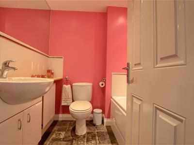 Picture 7